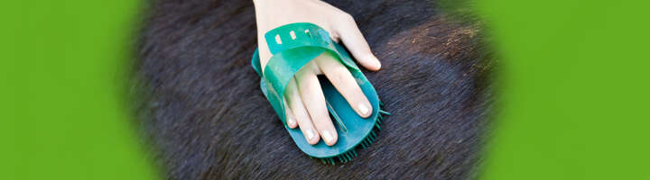 striegel kategorieeinstiegsbanner